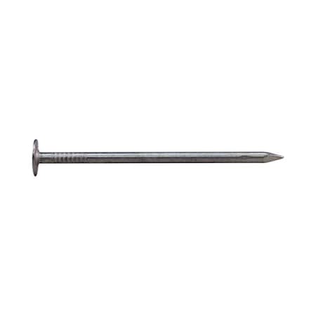 National Nail 1.75 in. 5 lbs EG Roofing Nail 5696703